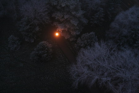 Srovnání 2 objektivů: profesionální Sigma vs. setový Canon