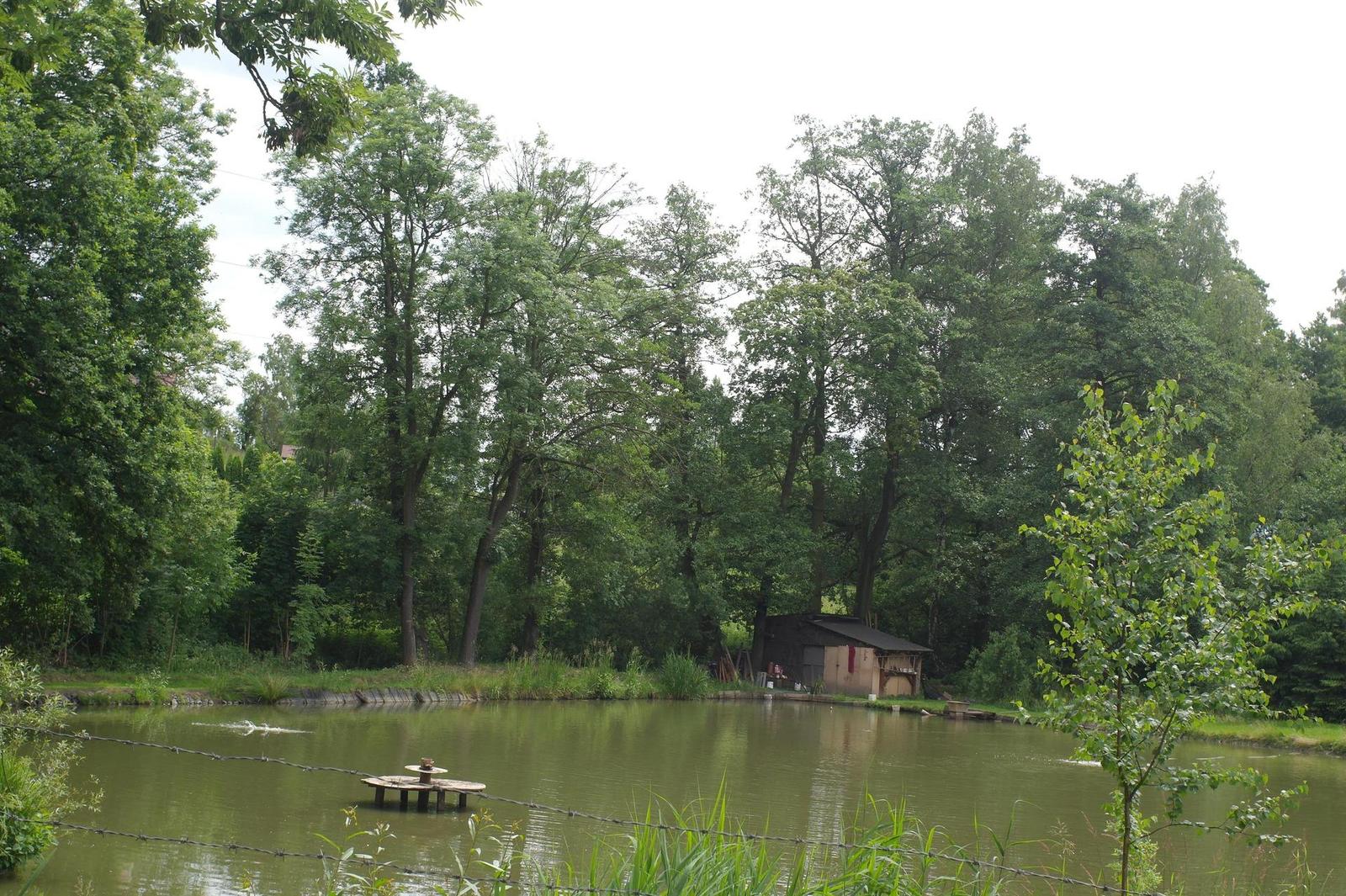 Canon FL 35mm 1:2.5 (FL/FD)