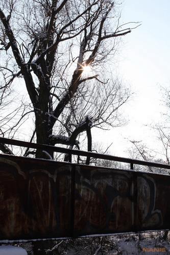 Srovnávací test pevných 50mm objektivů