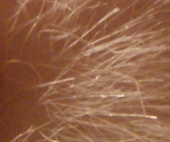 Sony Alpha A230: nejlevnější z nového trojlístku