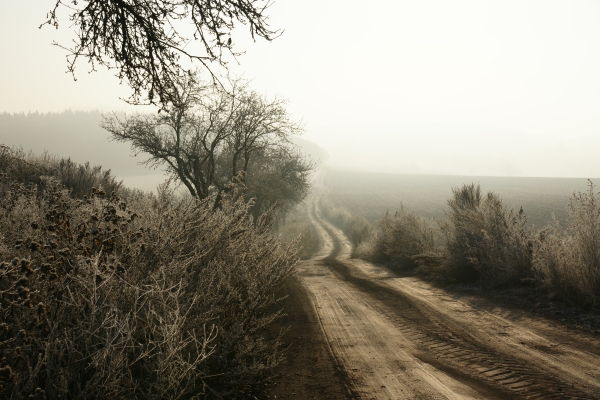 Zrcadlovka a já: Fotodrby