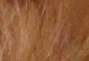 Canon PowerShot SX160 IS: více megapixelů i zoomu