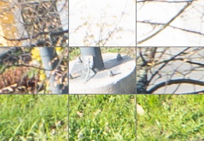 Panasonic Lumix S 24-105mm F4 Macro O.I.S.