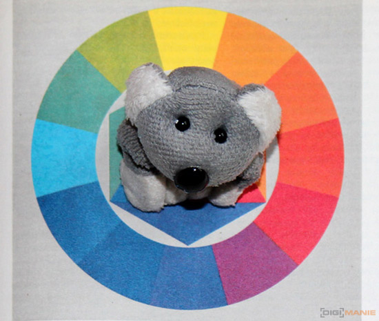 Fotíme s Koalou: Zvířátka