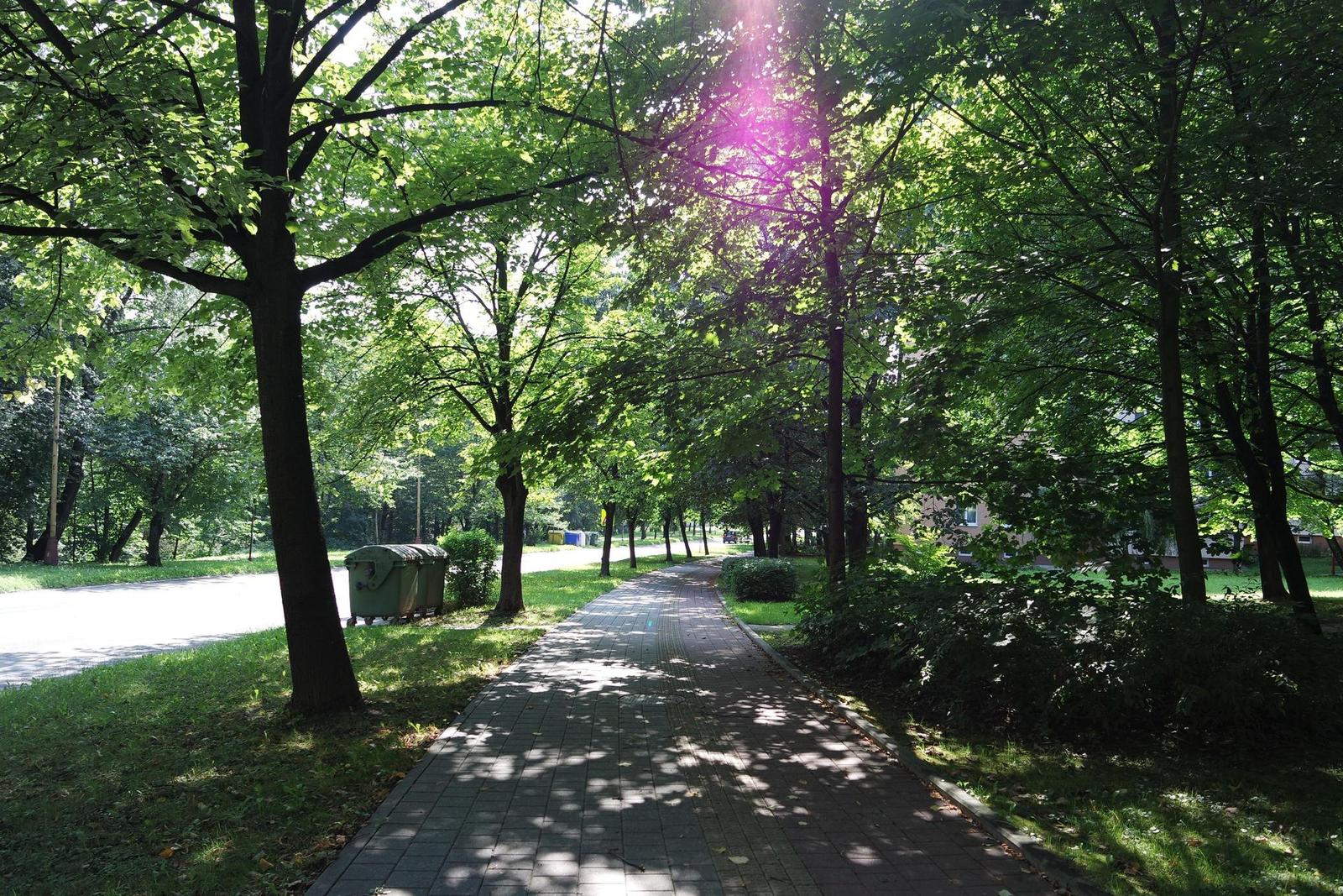 Samsung 16-50mm 1:3.5-5.6 ED OIS Power Zoom