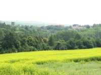 Canon PowerShot A700: Mezi kompaktem a ultrazoomem