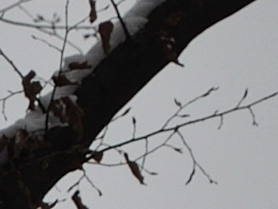 Dva objektivy nebo jeden ultrazoom?