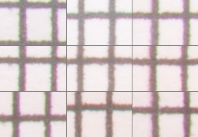 Nikon AF-P NIKKOR 18-55mm f/3.5-5.6G VR