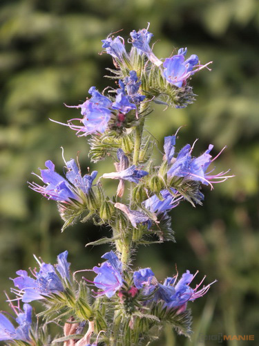 Fujifilm FinePix HS20EXR: důstojný nástupce