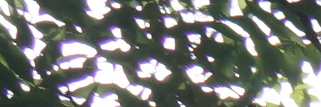 Sony Carl Zeiss Vario-Tessar T* 16-70mm F4 OSS (SEL1670Z)