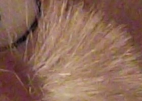 Fujifilm FinePix T200: nejlevnější ultrazoom Fuji