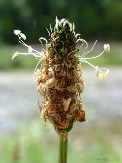 Panasonic Lumix TZ30: pokračovatel slavného rodu?