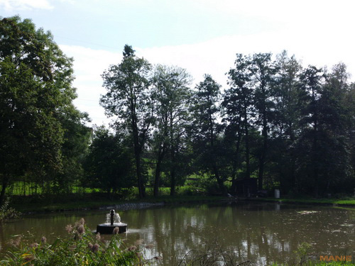 BenQ DC T1260: přítel citlivé peněženky