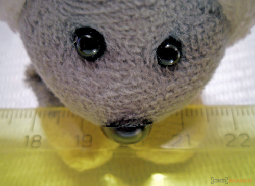 Fotíme s Koalou: Makro a telemakro