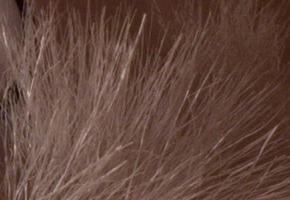 Sony a3000 (ILCE-3000): CSC co nejlevněji