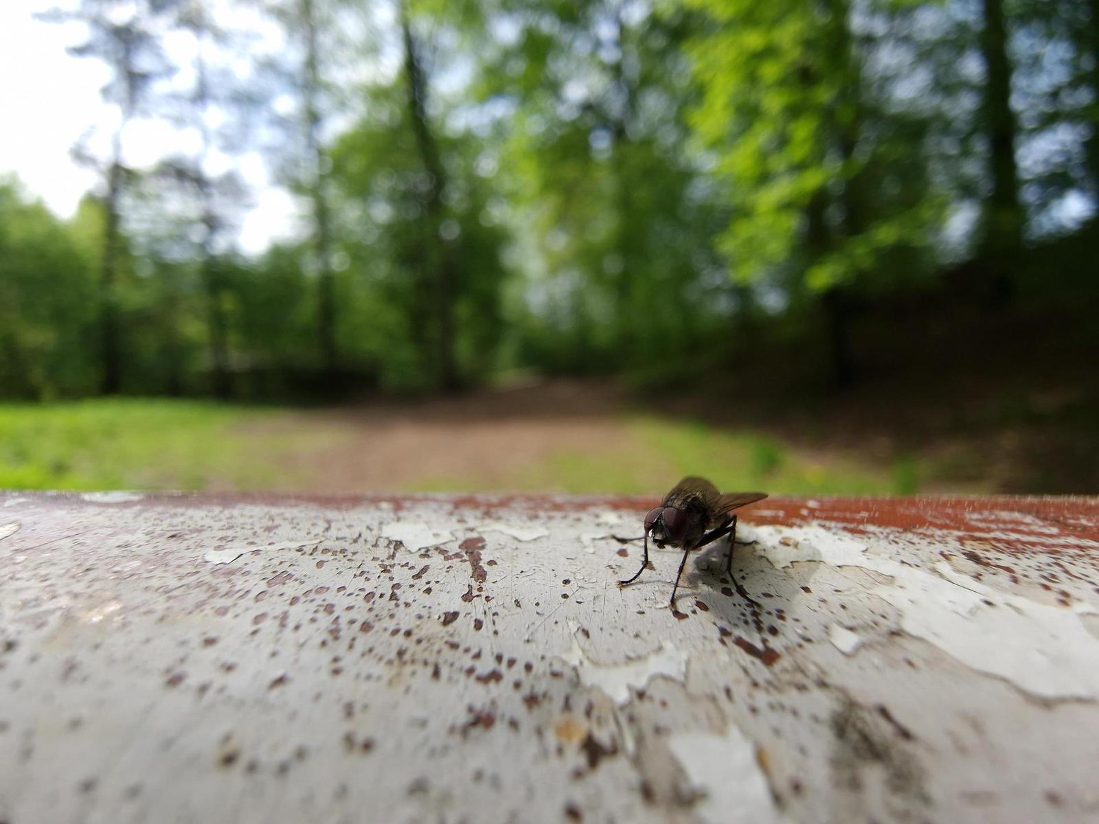 Samsung Galaxy S22 Ultra: pětioký fotografický král?