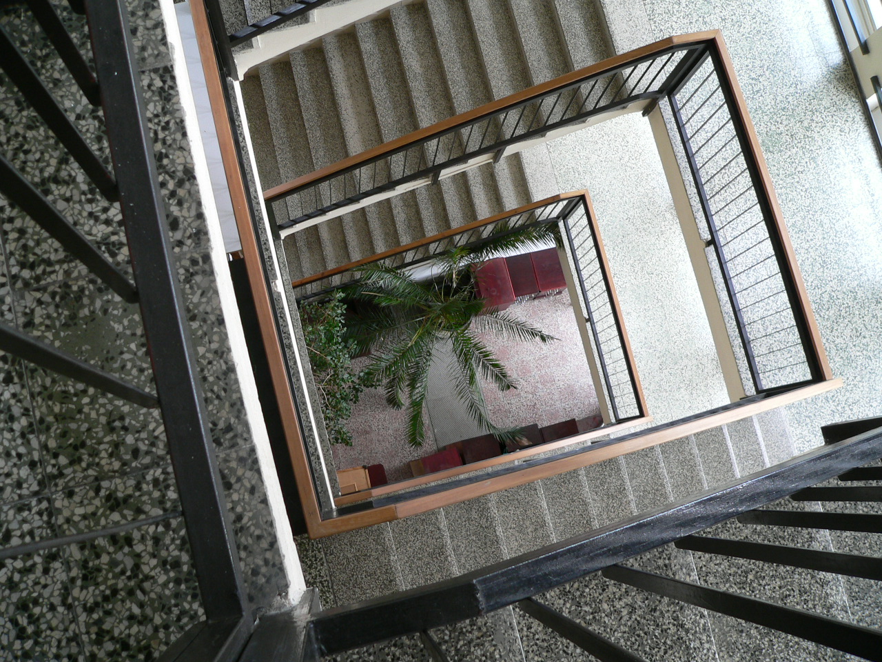 Lumix DMC-FZ20: Motor z Venuše