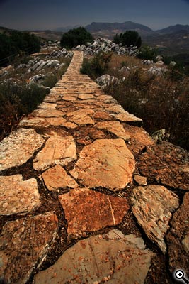 Cesta ke kvalitní fotografii: 3.díl