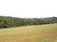 Sony Cyber-shot DSC-P200: Půlkruhová sedmička