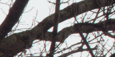 Samsung EX2F: významný krok vpřed