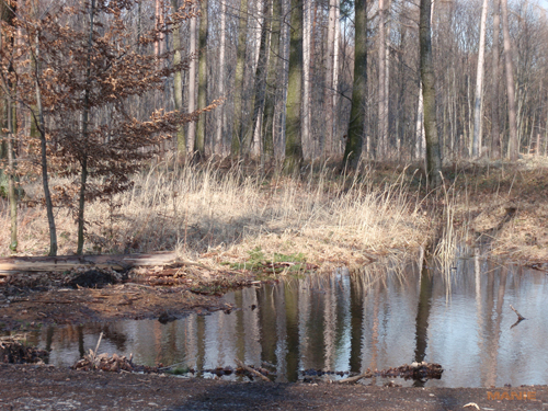 Olympus mju 9000: 10× ultrazoom v kompaktním balení