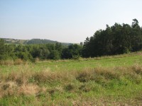 Canon PowerShot S2 IS: dvanáctinásobné oko Canonovo