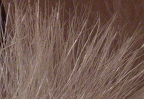 Samsung EX2F: významný krok vpřed