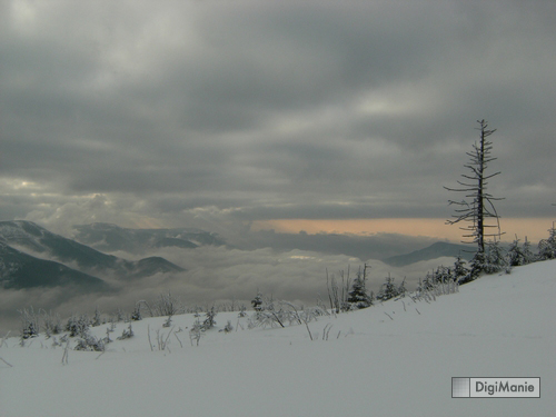 FinePix F480: levný kompakt se širokoúhlým objektivem