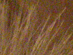 Canon EOS 600D: pokračování rodové linie