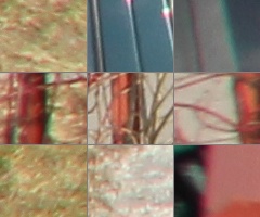 Megatest ultrazoomových objektivů