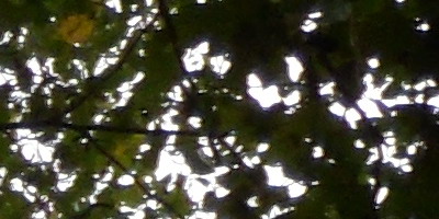 Samsung PL210: levně s grácií