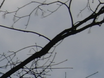 Samsung NX100: "zrcadlovka" do kapsy