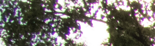 Nikon Coolpix B700: přírodovědec