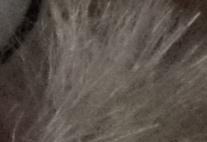 Sony SLT-A58: silný základ