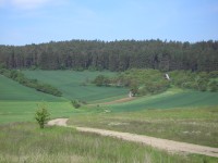 Konica Minolta Dimage E50 - pro každého něco...