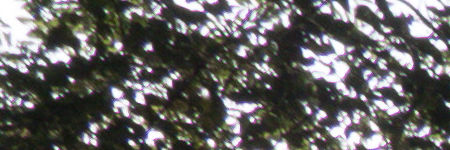 Panasonic Lumix FZ300: opět na špici