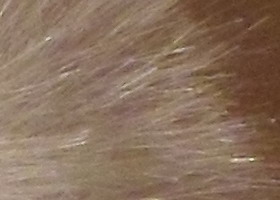 Samsung PL210: levně s grácií