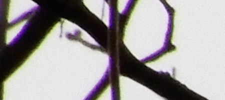 Nikon Coolpix A900: 4K do kapsy