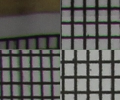 Megatest ultrazoomových objektivů