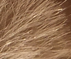 Fujifilm FinePix F300EXR: klame tělem