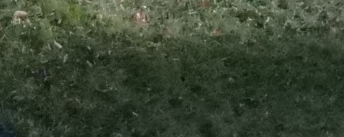 Panasonic Lumix GH5 II: nejen pro vloggery