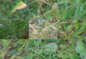 Nikon AF-P DX Nikkor 70-300 mm f/4,5-6,3G ED VR