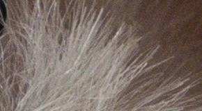 Sony Cyber-shot RX100 III (RX100M3): superSony