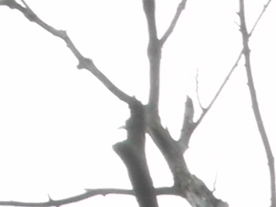 Samsung EX1: příjemné překvapení