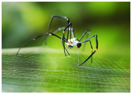 Prestigio zveřejnilo výsledky foto soutěže "Summer in motion"