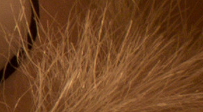 Canon EOS 1200D: vylepšený základ