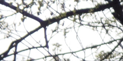 Olympus Stylus XZ-2: jednoduše skvělý