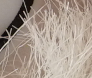 Sony A7R II (ILCE-7RM2): detaily na druhou