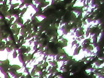 Canon PowerShot SX210 IS: s překvapivou zbraní