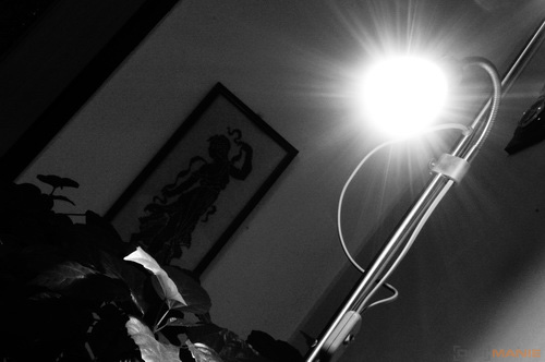 Sony NEX-5N: téměř ideální NEX